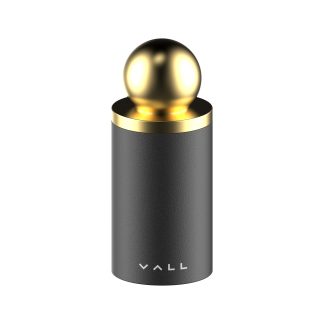 VALL FACE OIL REMOVER BALL (GOLD))